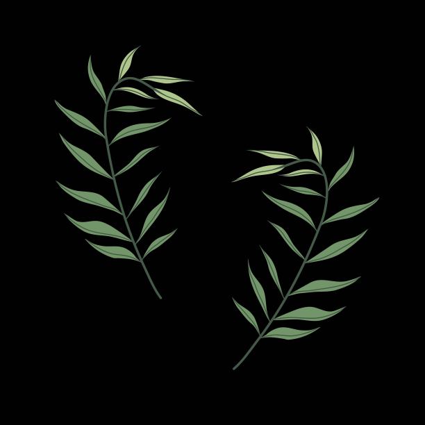 套野生热带植物的叶子。孤立的矢量图图片下载