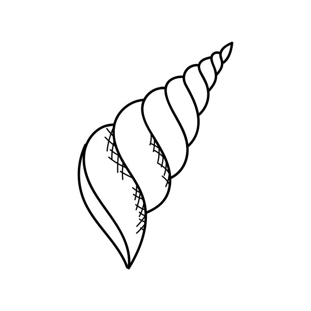 海洋中的贝壳或软体动物图片下载