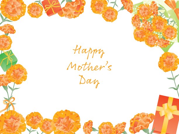 橙色康乃馨框架母亲节。图片下载