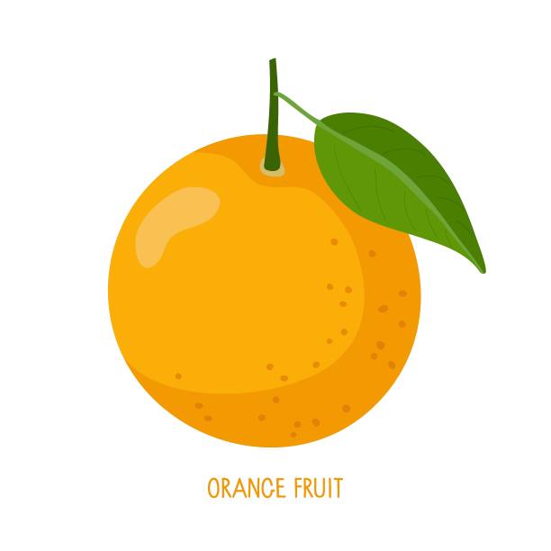 在白色上孤立的橙色果实。新鲜酸柑橘类水果与铭文向量。成熟明亮的整个果实。饮食、素食和健康食品。平面矢量为夏季设计，柠檬水，果汁，标志图片下载