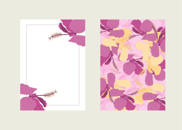 芙蓉花图片下载