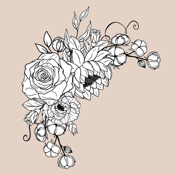 手绘一套花束和叶子。牡丹，玫瑰，莲花，棉花元素。花卉夏季向量收集。装饰画、贺卡插图、婚礼请帖图片下载