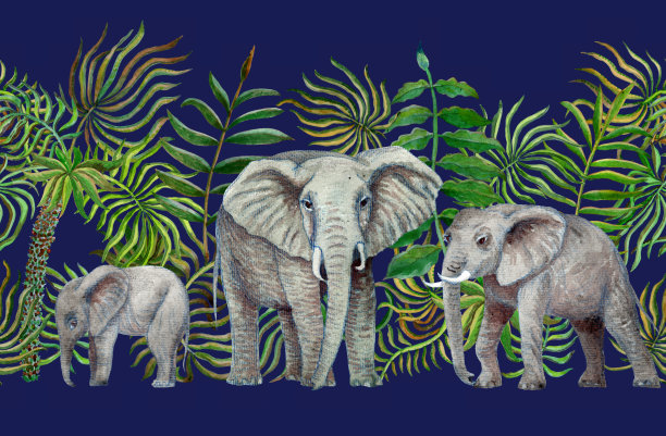无缝边界水彩画草原野生动物。手绘非洲象，棕榈树叶，草，草本植物，灌木孤立在一个深蓝色的背景图片下载