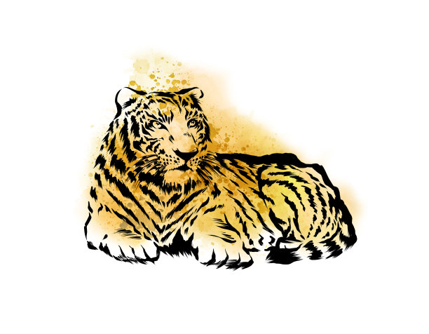 老虎水彩插图图片下载