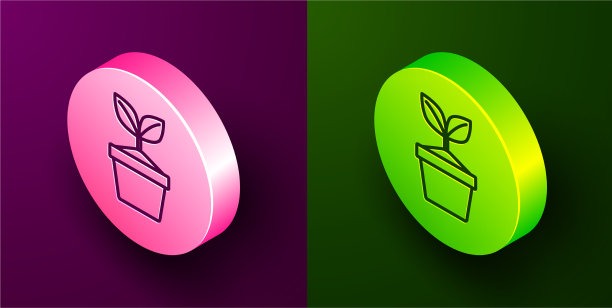 等距线植株在花盆上孤立图标图片下载