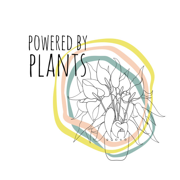 极简主义的波西米亚风格图片下载