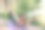 年轻迷人的女子练习瑜伽，做Dhanurasana练习，半弓姿势在公园的树木。体育健康的生活方式。室外训练。慢生活的概念。图片下载