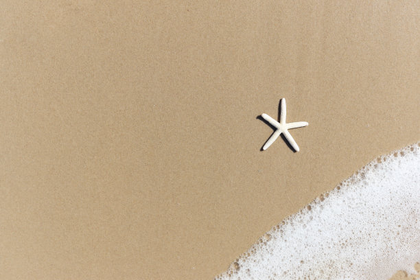 海星与白色泡沫的沙滩，美丽的热带夏季沙滩背景休闲度假的自然风光，蓝色的海浪撞击沙滩岛与拷贝空间。图片下载