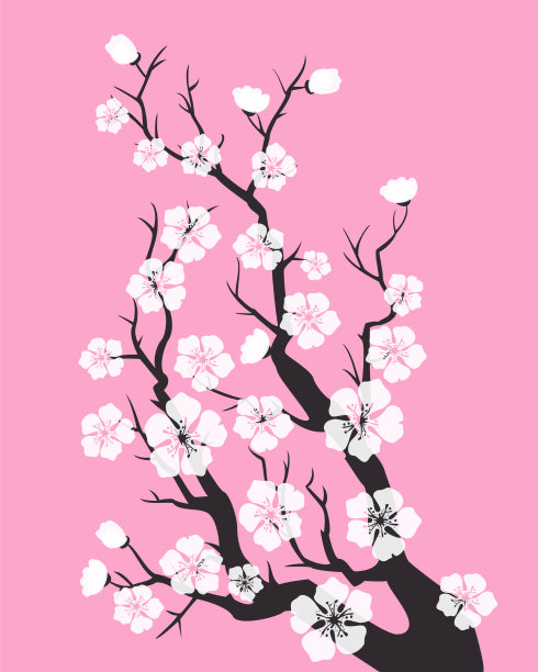 樱花，樱花图片下载