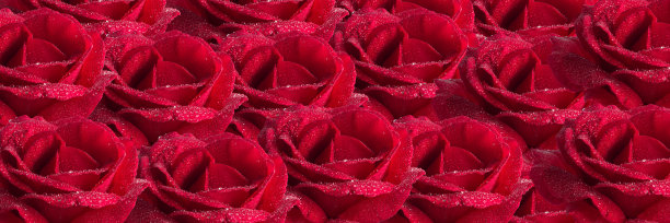 一束带着露珠花瓣的红玫瑰图片下载