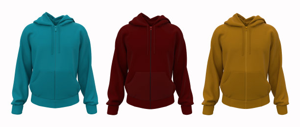 空白连帽运动衫模型与拉链在前视图图片下载