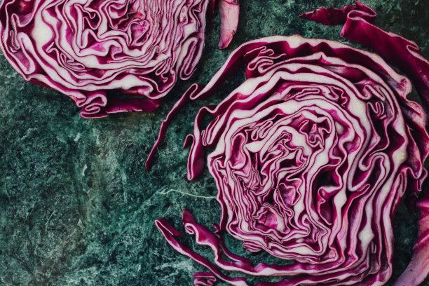 红球甘蓝片图片下载