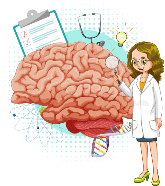 医生和大脑在白色背景上图片下载