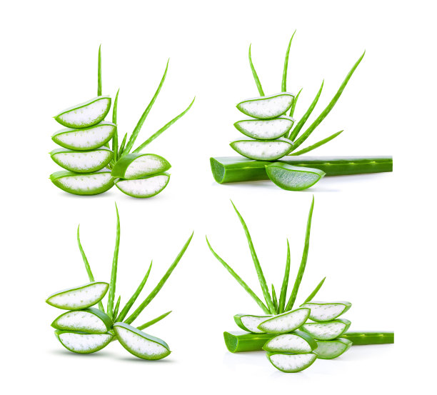 新鲜芦荟叶片，白色背景上的切片图片下载