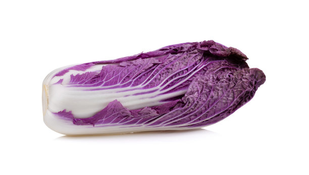 孤立在白色上的紫色大白菜图片下载