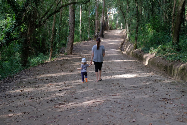 母亲和女儿一起走在树林里的小路上图片下载
