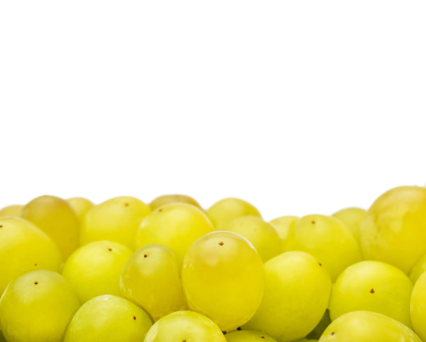 绿色葡萄孤立在白色上。关闭了。空间的文本。图片下载