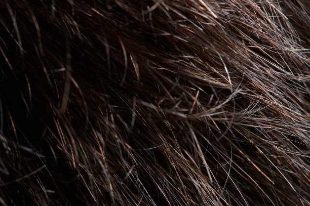 近距离的凌乱的黑发图片下载