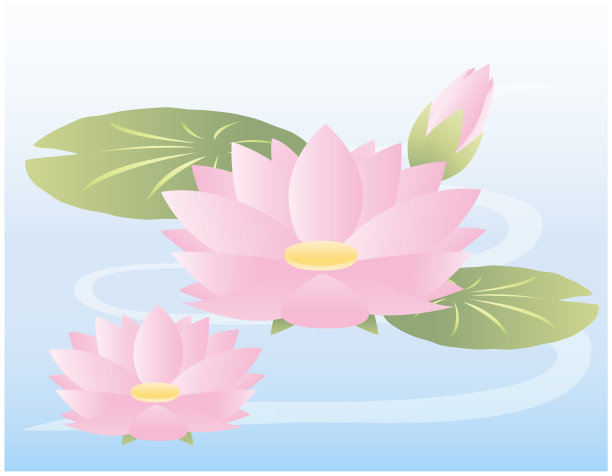 矢量插图与睡莲。盛开的鲜花。图片下载