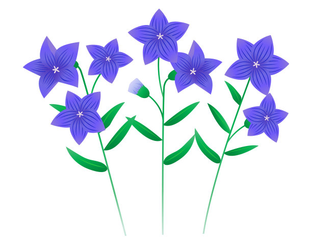 矢量图风铃花花。盛开的鲜花。图片下载