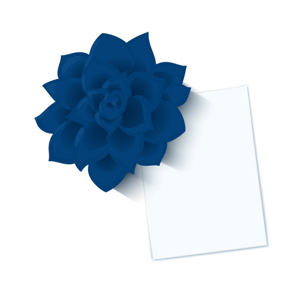 在俯视图中有纸和植物的办公桌图片下载