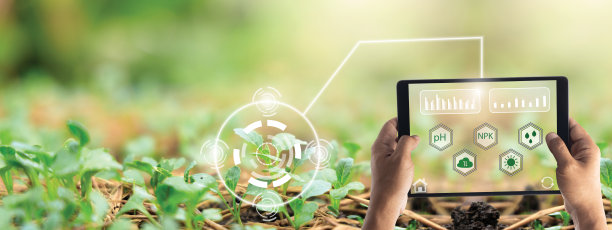 聪明的年轻农民使用平板电脑来管理他们的农场图片下载