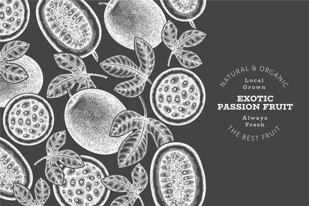 手绘素描风格的百香果横幅图片下载