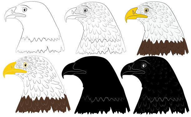 设头像头像一只秃鹰图片下载