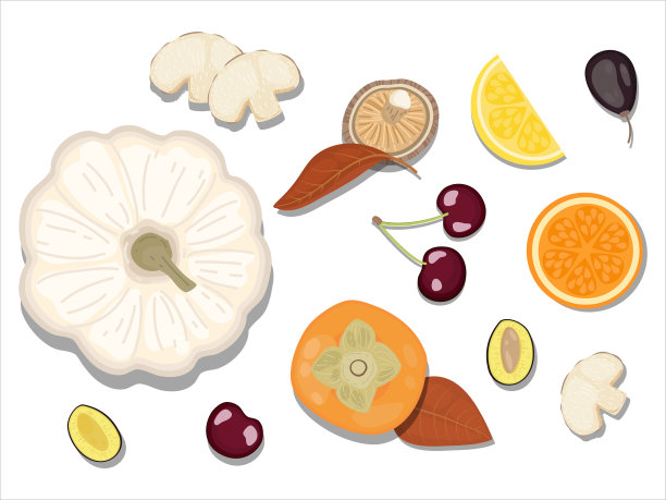 手绘平铺，食物小山丘风格矢量插图的成分，孤立在白色背景。秋天素食成分;南瓜，李子，樱桃，蘑菇，橘子片，柠檬，柿子图片下载