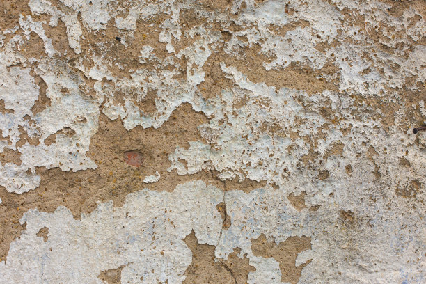 石棉板岩纹理混凝土覆盖地衣和苔藓，工业材料天然水泥图片下载