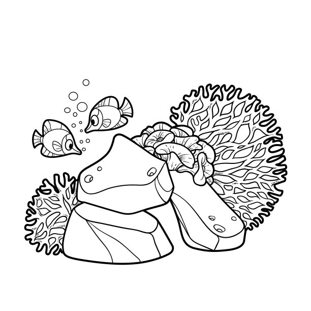 海葵和珊瑚生长在石头周围图片下载