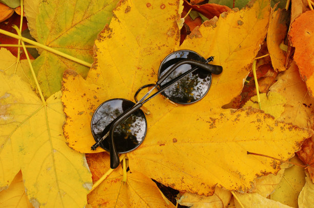 黑色的圆眼镜戴在落叶上图片下载