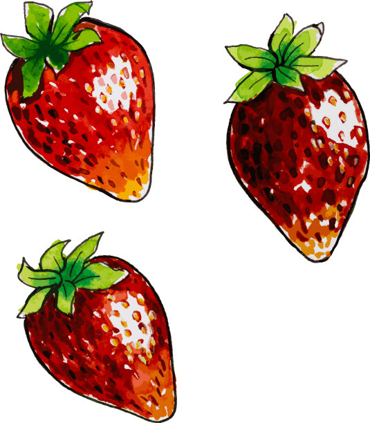 水彩草莓与叶片特写孤立图片下载