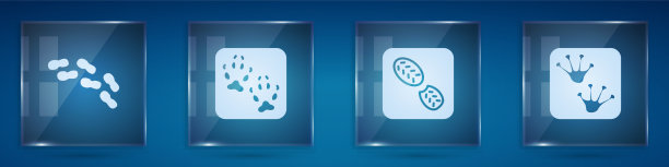 设人类脚印鞋狐狸爪和青蛙图片下载