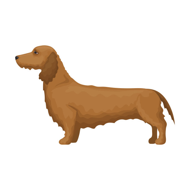 腊肠偶像卡通偶像孤立图片下载