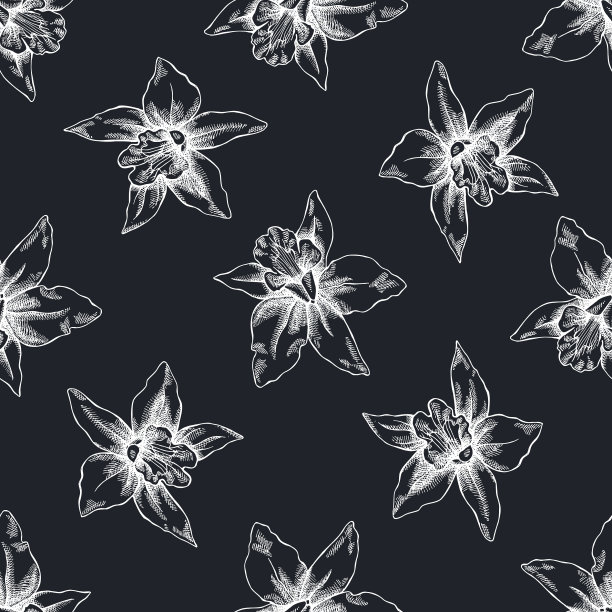 无缝图案与手绘粉笔拉利亚图片下载