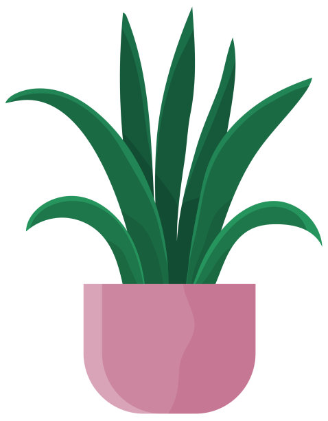 装饰用的绿色植物，长叶，陶瓷图片下载