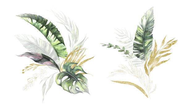 水彩夏天邀请花束与手绘热带干棕榈叶，树枝绿色，金色的叶子。浪漫的花束完美的婚礼贺卡，邀请和更多图片下载