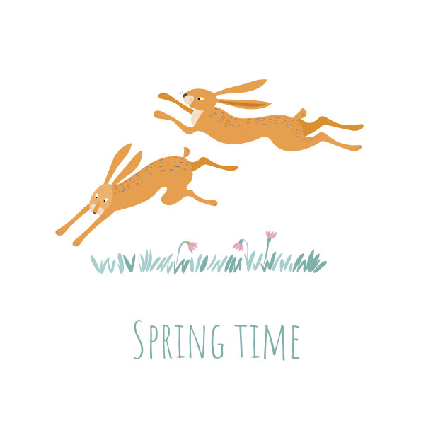 两只红兔子在田野里快乐地奔跑图片下载