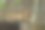 沉睡的西伯利亚虎图片下载