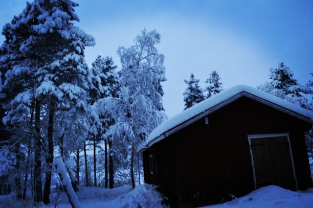 芬兰，拉普兰，伊纳里，冬天，厚厚的积雪，森林，木屋，午后图片下载