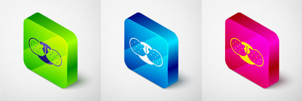 等距的猫鼻子图标孤立在灰色图片下载