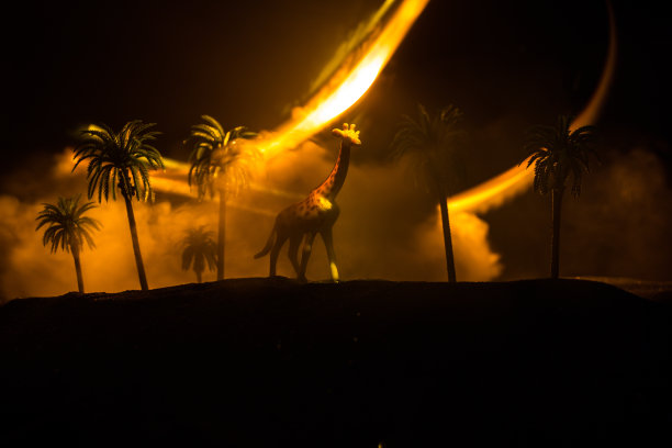 在加拿大多伦多附近的野生动物保护区，一只好奇的长颈鹿(长颈鹿驼豹)在蓝天白云之上的肖像图片下载