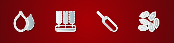 放入南瓜籽、小麦勺、面粉和种子图片下载