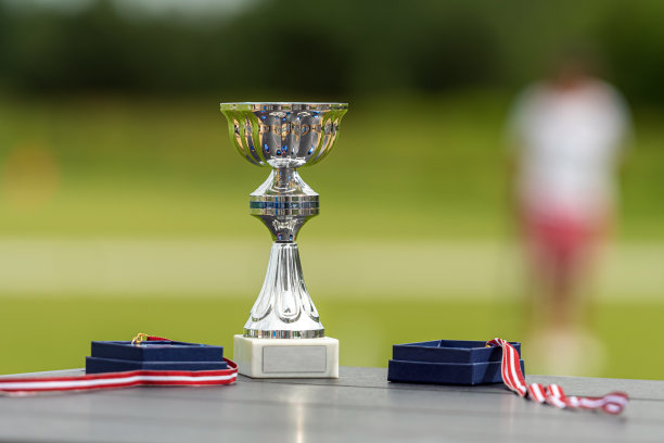 体育比赛的奖品-奖杯和奖牌在一个散焦的槌球场的背景上图片下载