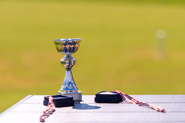 体育游戏的奖品-奖杯和奖牌在一个模糊的背景图片下载