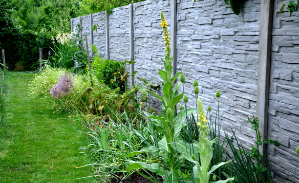 在混凝土篱笆后面的花园里，多年生植物床被午后的阳光照射。图片下载