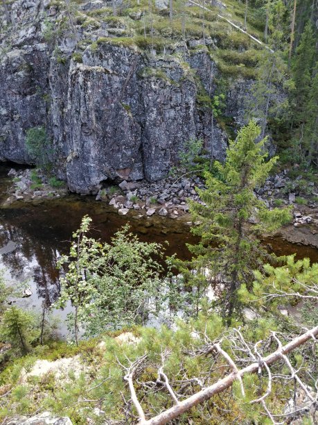 芬兰国家公园森林中央的巨大峡谷图片下载