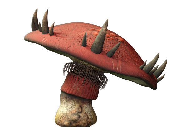 3D插图幻想蘑菇在白色图片下载