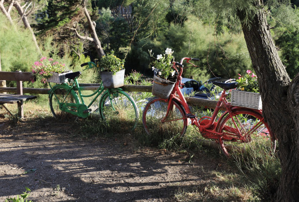 旧自行车装饰。图片下载